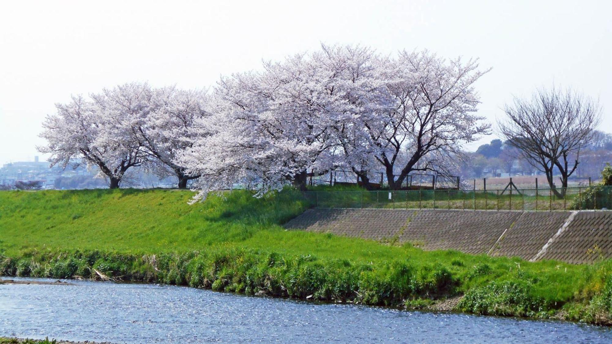 Toyoko Inn Shiki Eki Higashi Guchi المظهر الخارجي الصورة