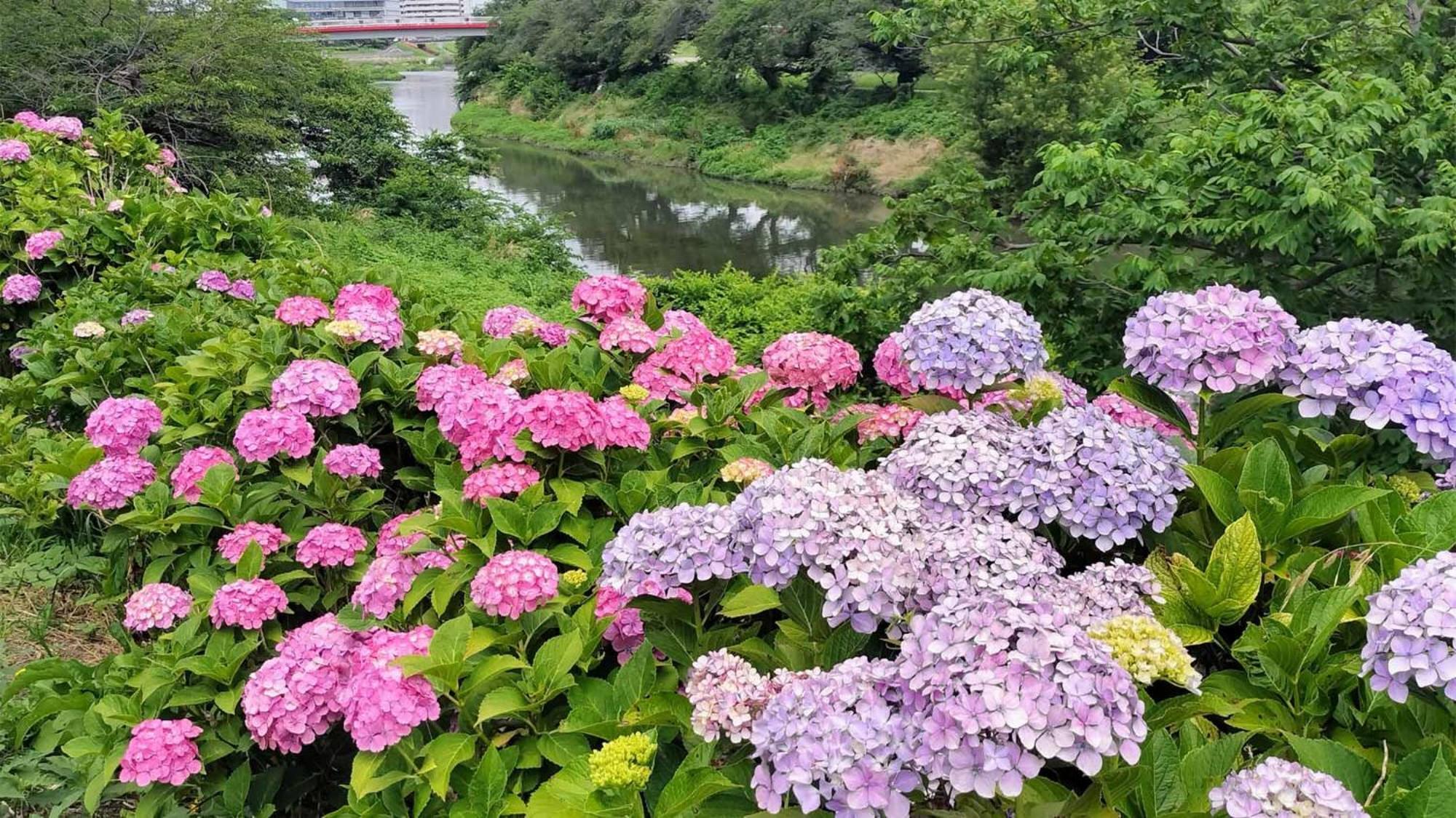 Toyoko Inn Shiki Eki Higashi Guchi المظهر الخارجي الصورة